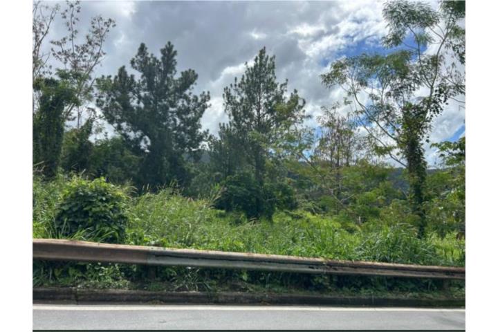 VENTA TERRENO BO GUAVATE 1616 METROS