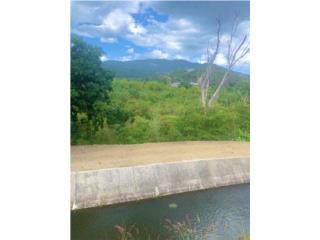 VENTA Juana Diaz bo guayacal sector tocadillo