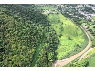 VENTA naguabo bo rio blanco