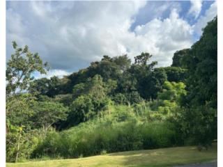VENTA TERRENO TOA ALTA 1.8 CUERDAS