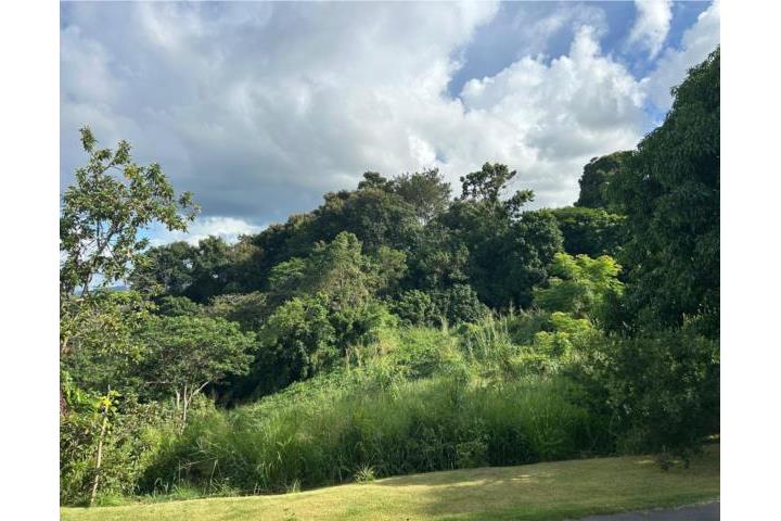 VENTA TERRENO TOA ALTA 1.8 CUERDAS