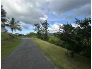 VENTA TERRENO TOA ALTA 1616 METROS