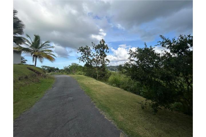 VENTA TERRENO TOA ALTA 1616 METROS