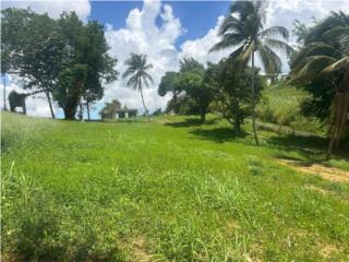 VENTA TERENO TRUJILLO ALTO BO QUEBRADA GRANDE