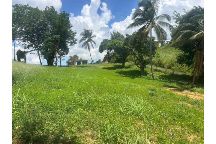 VENTA TERENO TRUJILLO ALTO BO QUEBRADA GRANDE