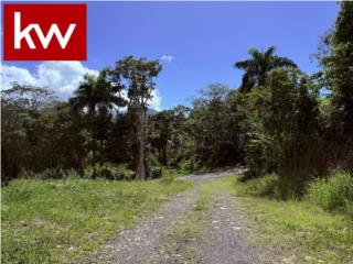 TERRENO EN URB. VILLAS DE LUQUILLO