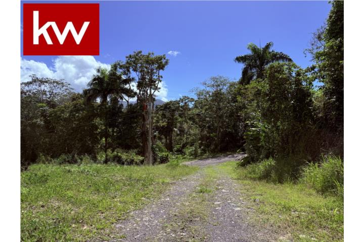 TERRENO EN URB. VILLAS DE LUQUILLO