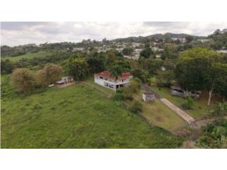 Comunidad Padre Rosendo, Morovis Sur 
