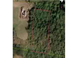 Barrio Susua Alta Sector R�o Loco, Yauco