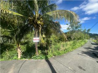 Terreno en Bo. Cibuco, Corozal