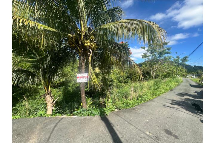 Terreno en Bo. Cibuco, Corozal