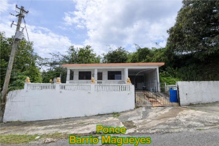Bo Magueyes - Casa de Esquina- Terrera