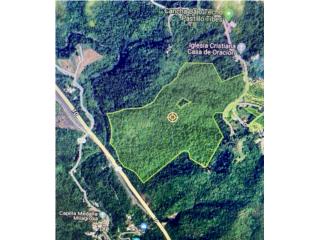 100 cuerdas norte Ponce