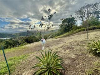 Terreno ideal para conectar con la naturaleza 