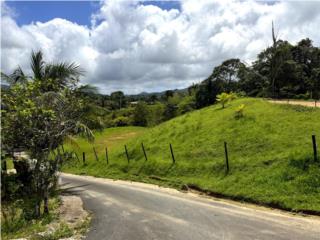  área tranquila y rodeada de naturaleza