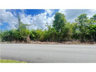 Haciendas del Dorado � 4,062 m/c | Terreno 