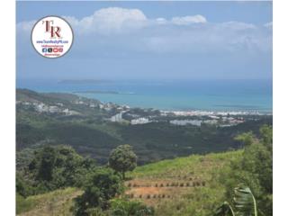 �Espectacular FINCA de 5.05 cuerdas de terreno!