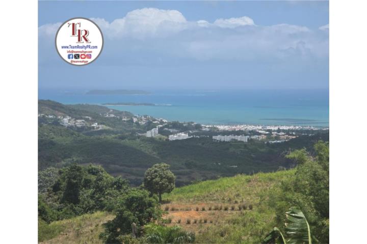 ¡Espectacular FINCA de 5.05 cuerdas de terreno?