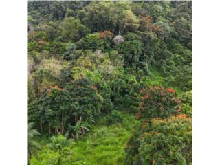 SE VENDE TERRENO 22 CUERDAS � MANAT� 