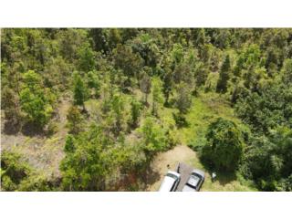 Prime Real Estate Opportunity in Can�vanas! 
