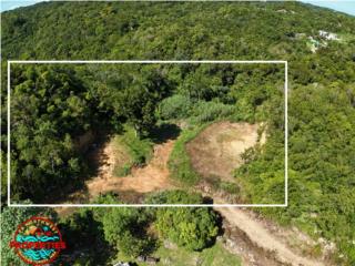 3525 MC,CR Sect. Calichoza, Llanadas, Isabela, PR