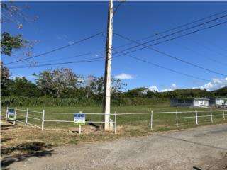 SOLAR HATO ARRIBA, ARECIBO