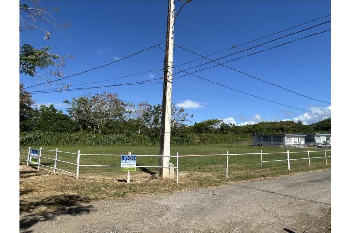 SOLAR HATO ARRIBA, ARECIBO