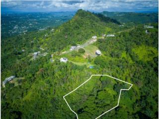 BO GUARAGUAO ARRIBA, BAYAMON, SOLAR 3