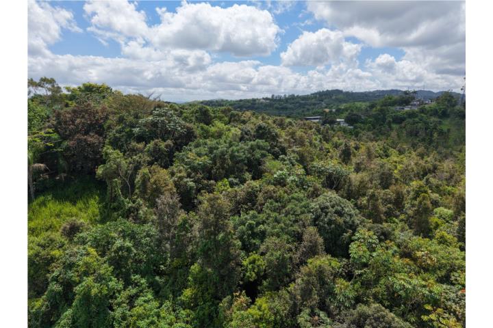 TERRENO DE 1.03 CUERDAS RUTA PANORÁMICA