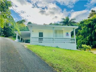 Bo. Magueyez Corozal