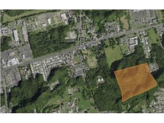 45 Cuerdas, Manati Centro, 2 minutos de PR-2