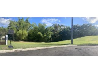 TERRENO EN SAN LORENZO LA VIA FLORIDA