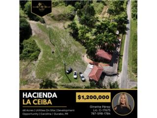 Hacienda La Ceiba � 70 Cuerdas 