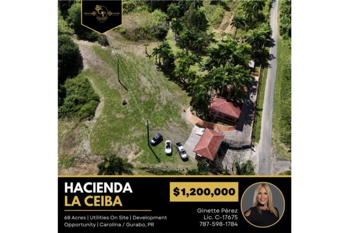 Hacienda La Ceiba  70 Cuerdas