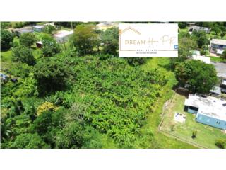 VENTA AGUADILLA- Espectacular terreno.