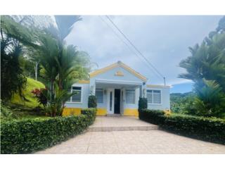 Urb La Esmeralda, Caguas 