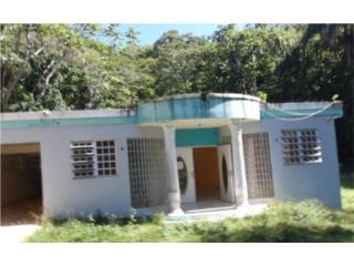 Bo. Hato Arriba, Pronto