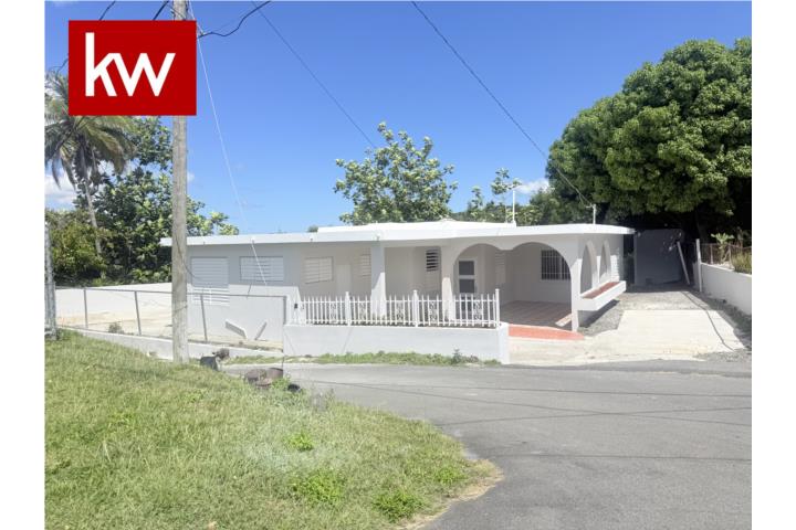 BO. ALMACIGO ALTO, FINCA EN YAUCO