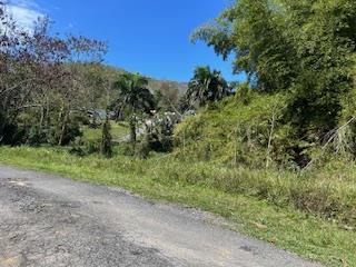 SOLAR EN AREA PRIVADA EN RINCON
