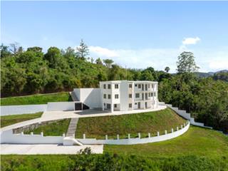 Barrio Mogote - Ubicacion con privacidad Bienes Raices Puerto Rico