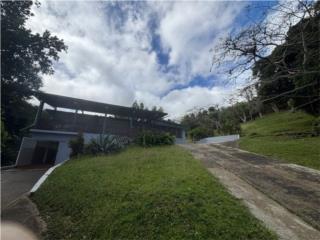 BO.MATON ARRIBA, SECT.QUEBRADA, CAYEY/CARR.#1