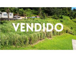 VAS A VENDER EN BARRANQUITAS, LLAMAME