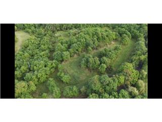 Se vende finca de 15.02 cuerdas en Montebello