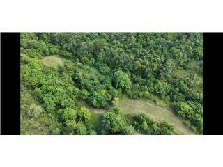 Se vende finca de 10.20 cuerdas en Montebello