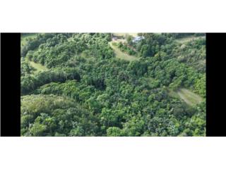 Se vende finca de 11.96 cuerdas en Montebello