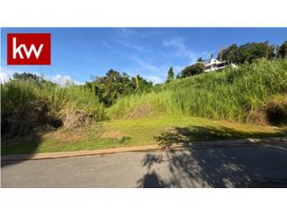 BO. SONADORA, TERRENO EN GUAYNABO