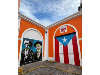 Modern Apartment in Historic Zone - Viejo San Juan