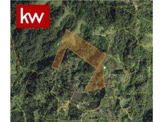 Real Estate Bienes Raices Puerto Rico