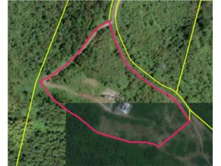 Terreno de 30,342.61m� en Naguabo a la venta!