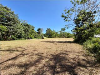 Dream Lot Just 3 Minutes from the Beach